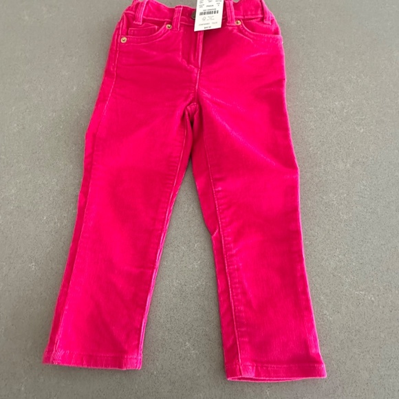 J. Crew Factory Other - NWT-J. Crew Factory Kids 3T Pink Corduroy Pants